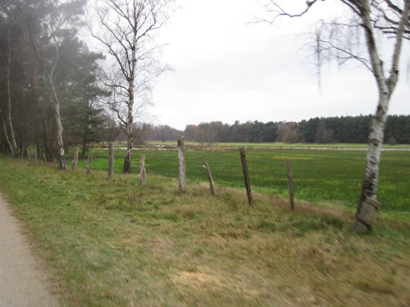 CTF Celle 021